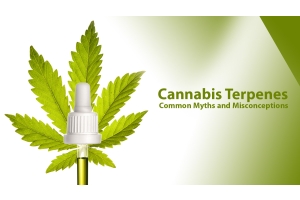 Terpenes and Cannabis - Common Myths and Misconceptions