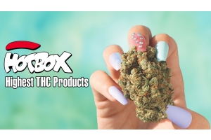 Top 10 HOTBOX Products with the Highest THC